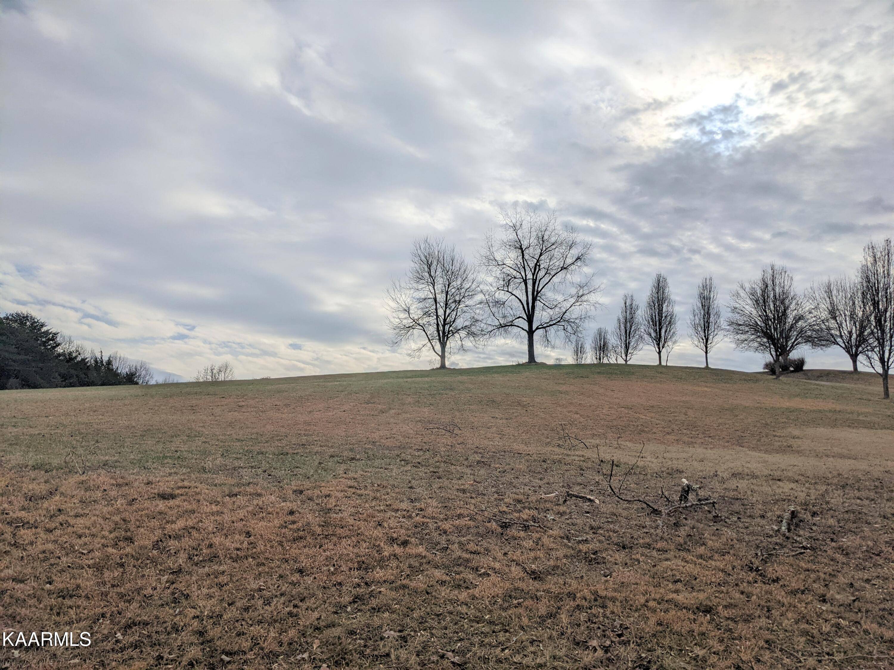 Baneberry, TN 37890,Lot 2 Mountain View Ln