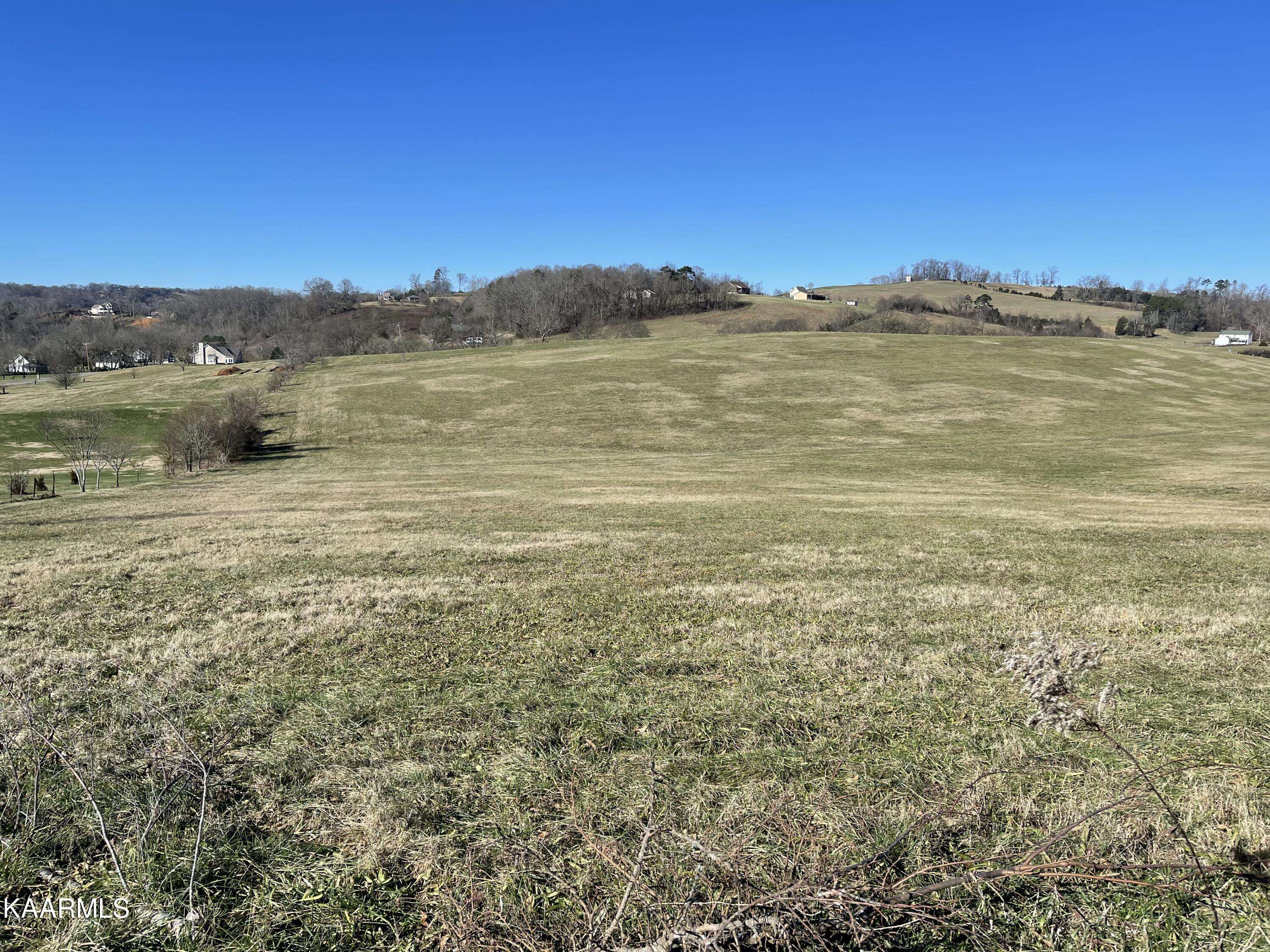 Rutledge, TN 37861,Lot 319 Howell River Rd