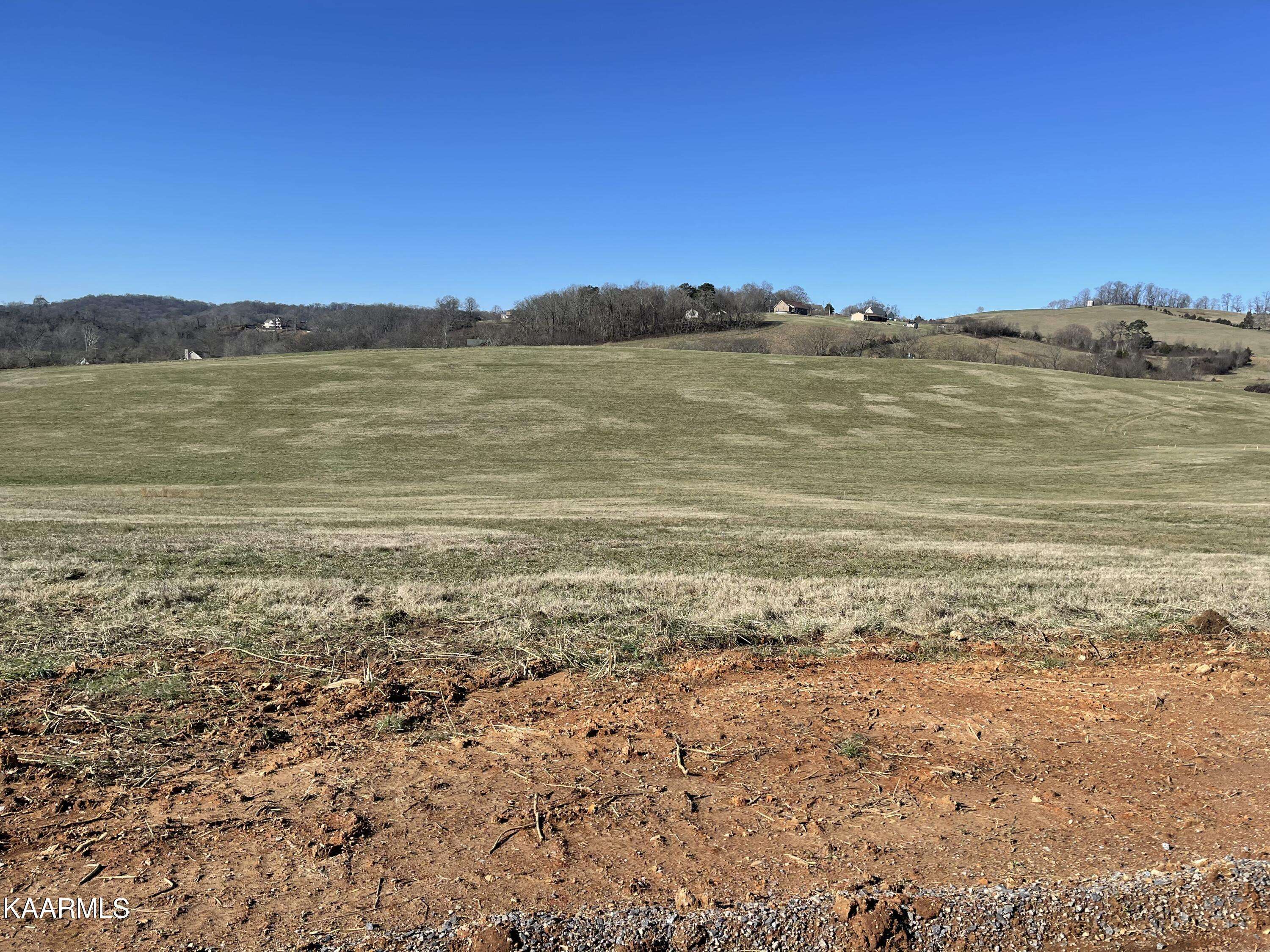 Rutledge, TN 37861,Lot 316 Howell River Rd