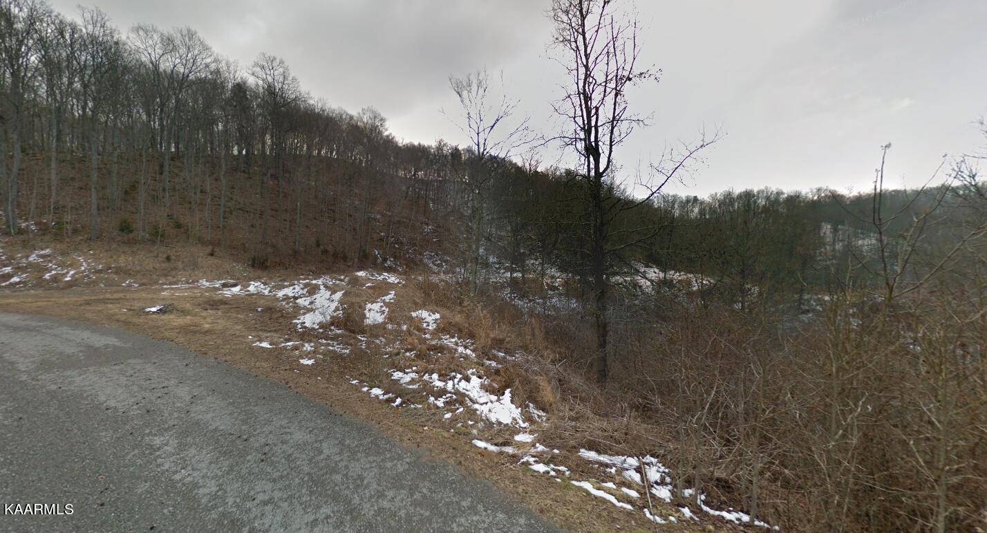 Andersonville, TN 37705,Trillium Dr DR