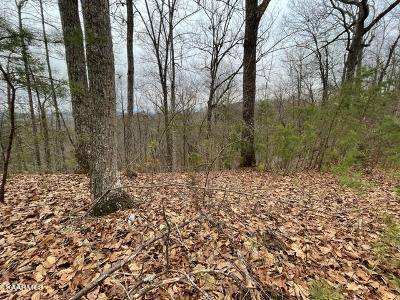 Sevierville, TN 37876,Lot 80 Dollys DR