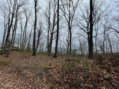 Sevierville, TN 37876,Lot 80 Dollys DR