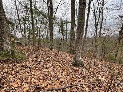 Sevierville, TN 37876,Lot 80 Dollys DR