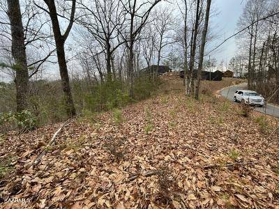 Sevierville, TN 37876,Lot 80 Dollys DR