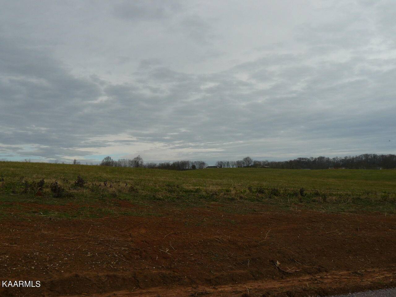 Rutledge, TN 37861,Lot 73 Howell River Rd