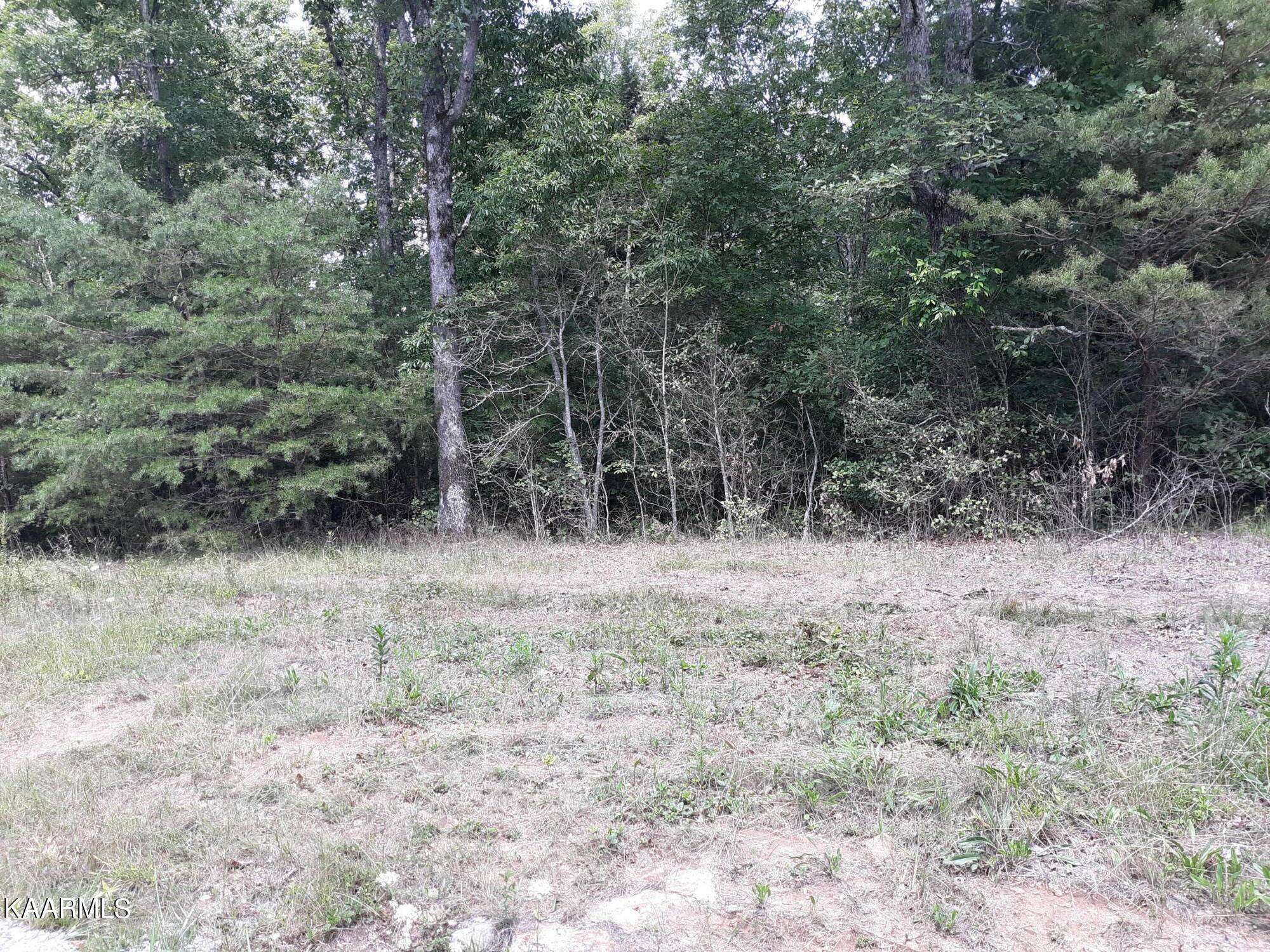 Clarkrange, TN 38553,Sonja WAY