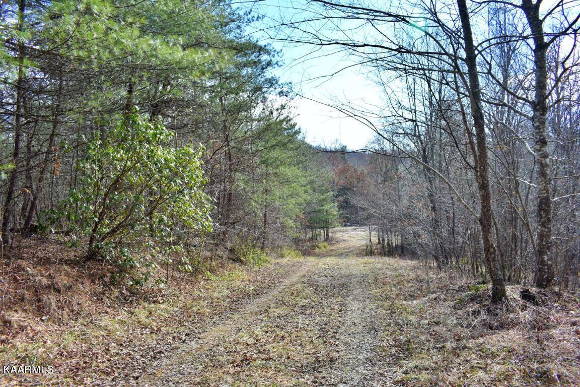 Sunbright, TN 37872,Lot 11 Crest View Drive