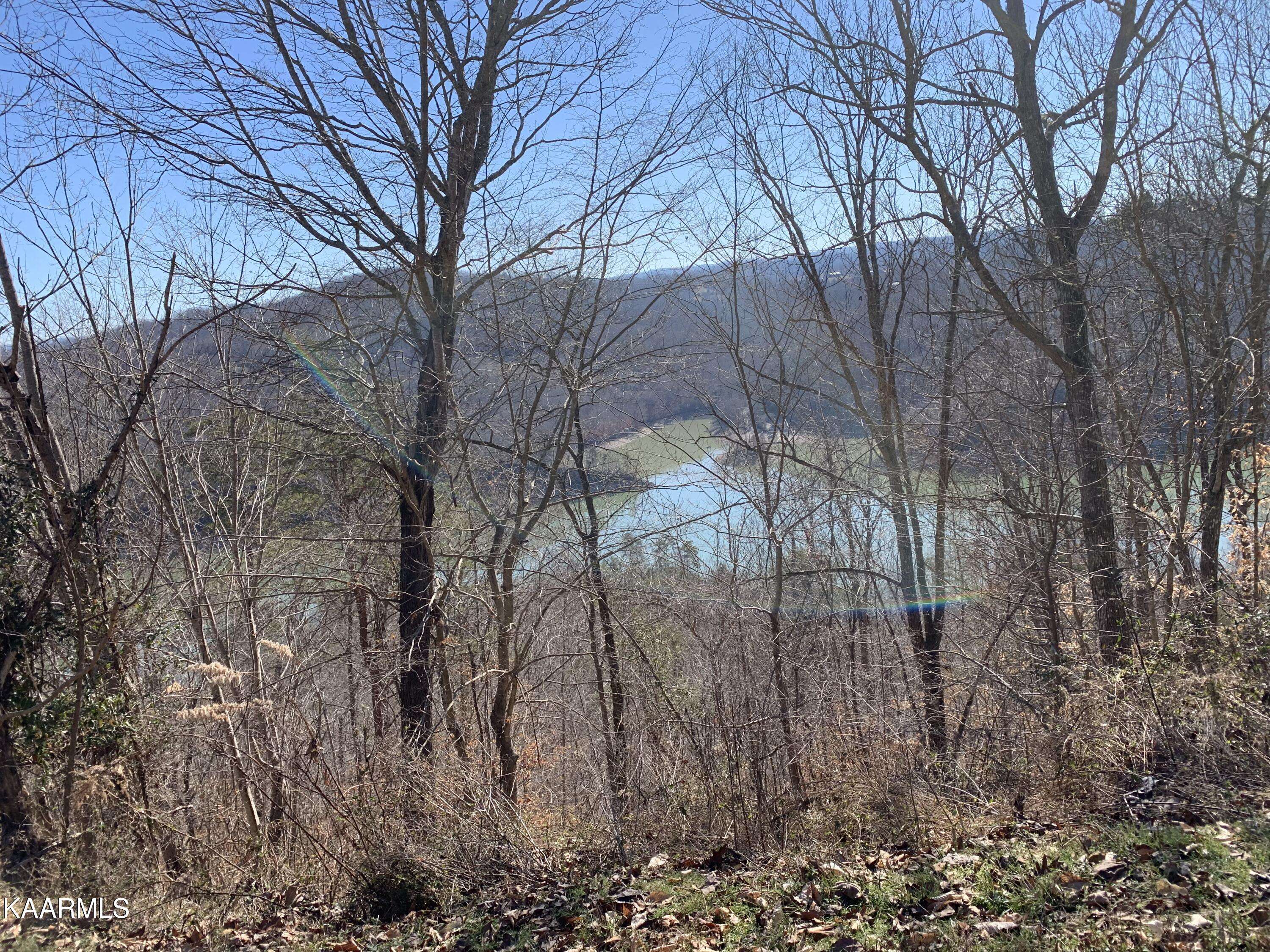 New Tazewell, TN 37825,Lot 83 Ridgecrest Rd