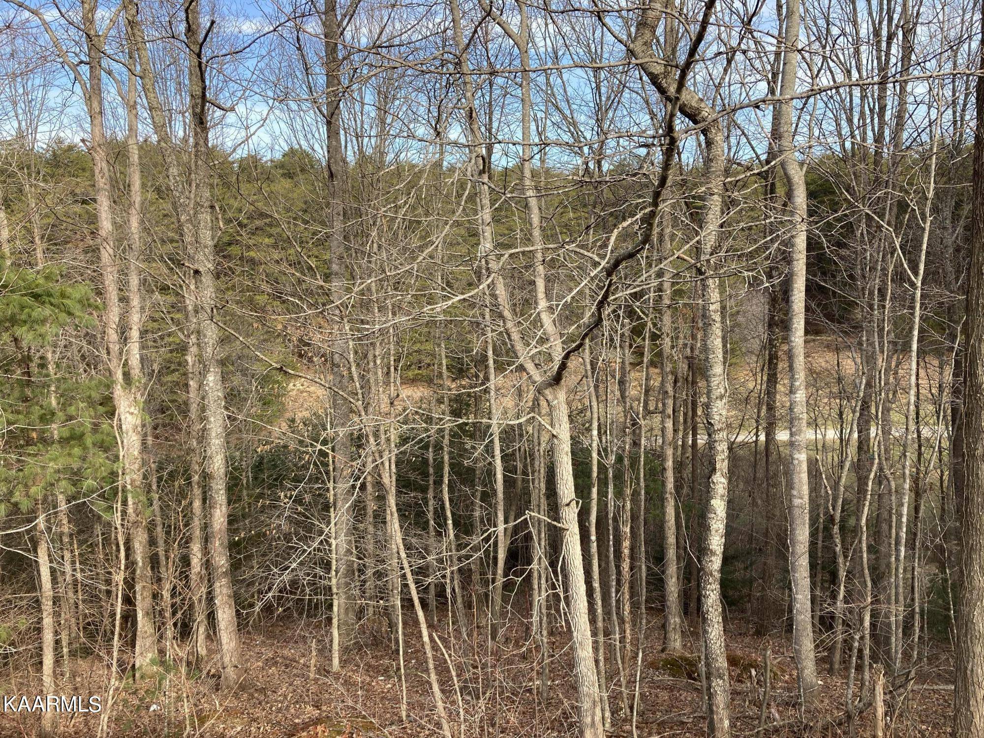 Tellico Plains, TN 37385,475 Unicoi Lakes Rd