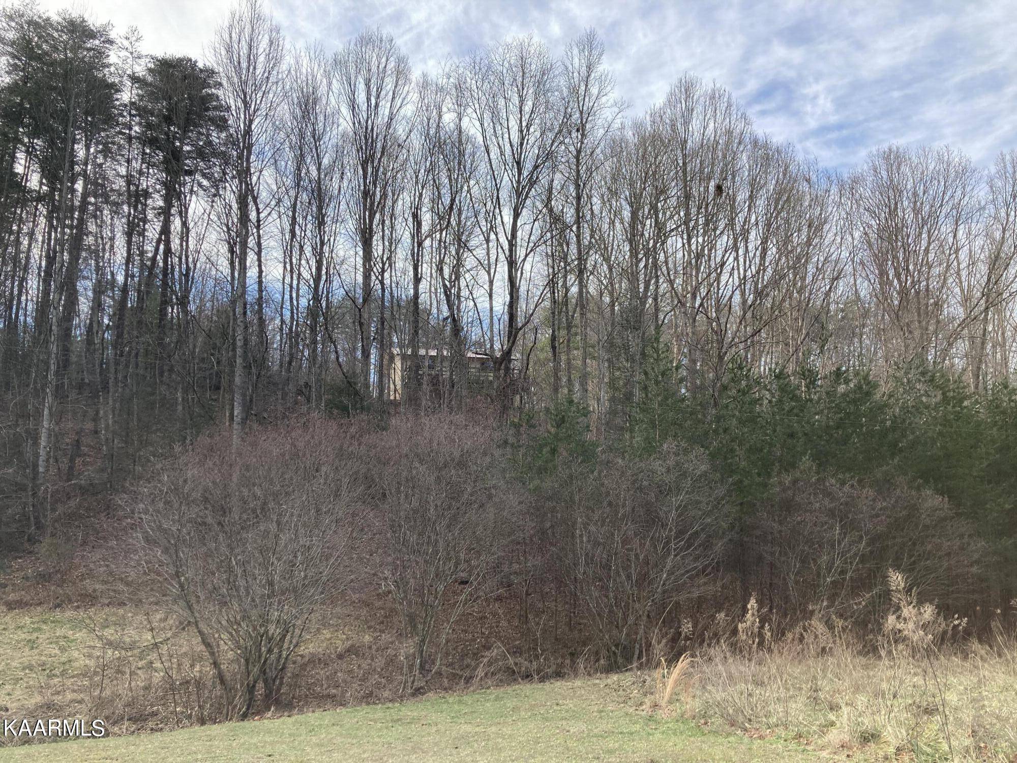 Tellico Plains, TN 37385,475 Unicoi Lakes Rd