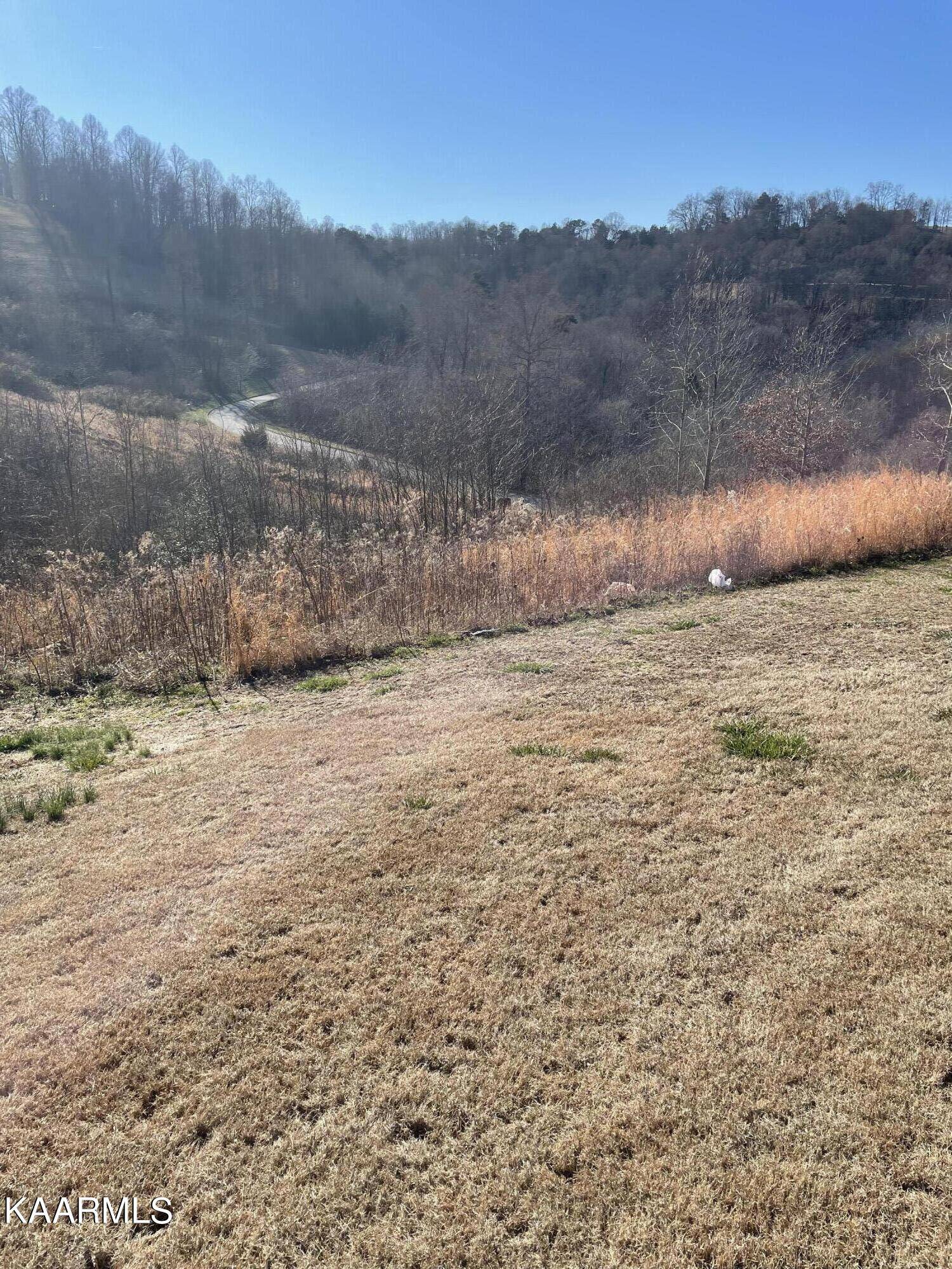 Andersonville, TN 37705,Lot 12r Anchor LN