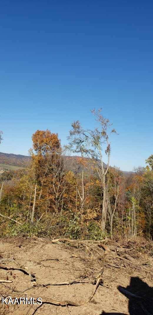 Rogersville, TN 37857,TBD Horton Hollow Rd