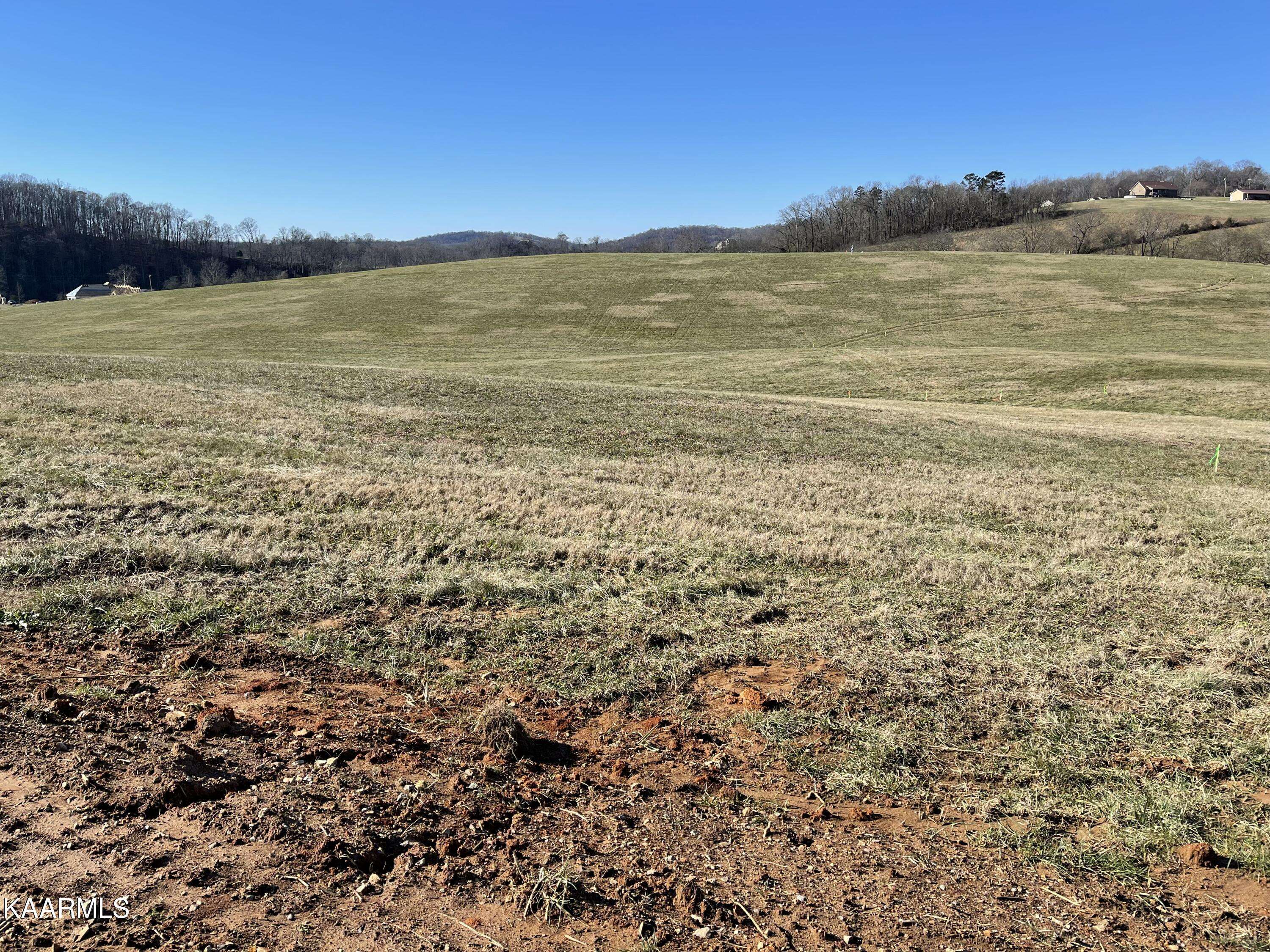 Rutledge, TN 37861,Lot 4 Howell River Rd