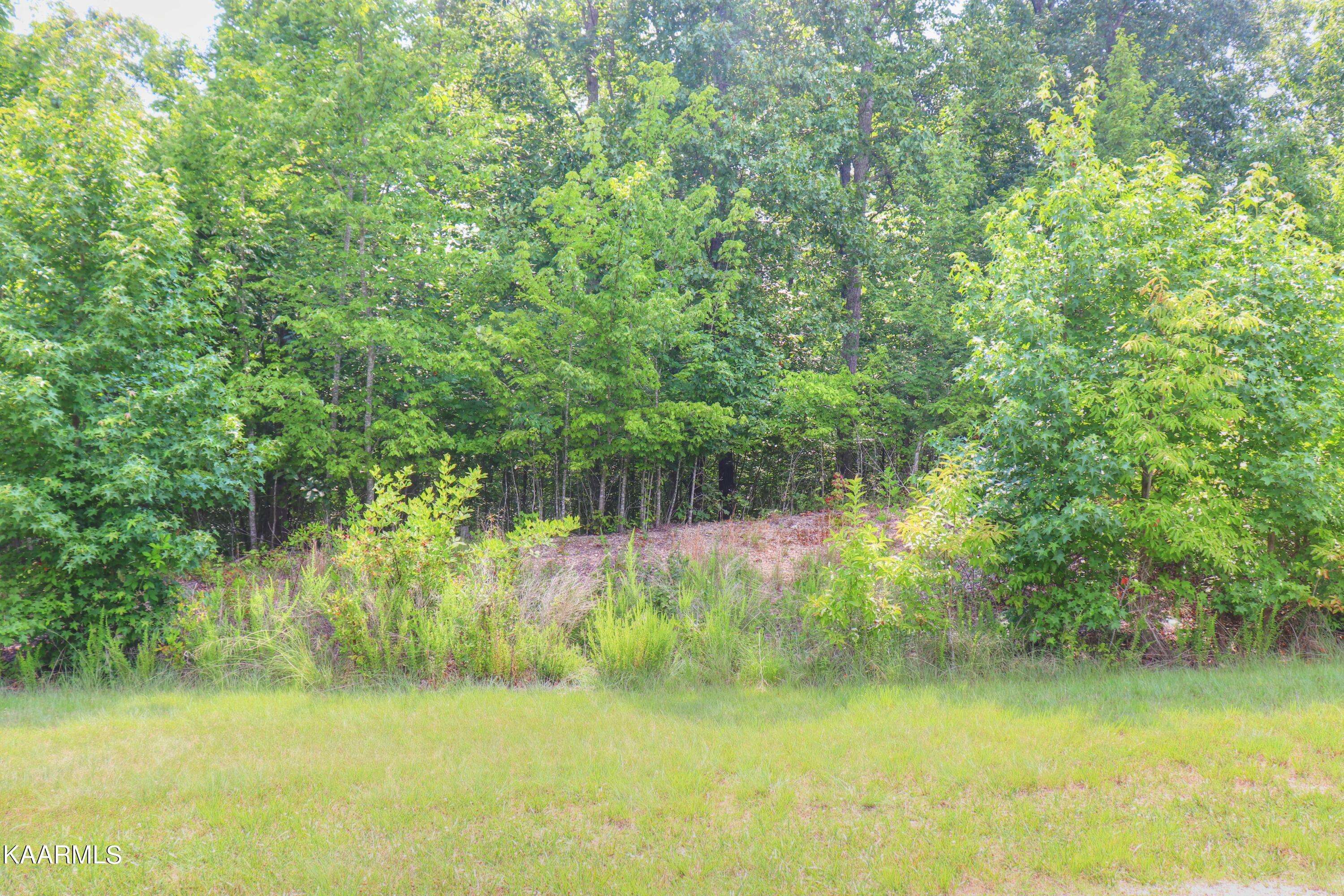 Rockwood, TN 37854,Lot 370 Thief Neck View DR