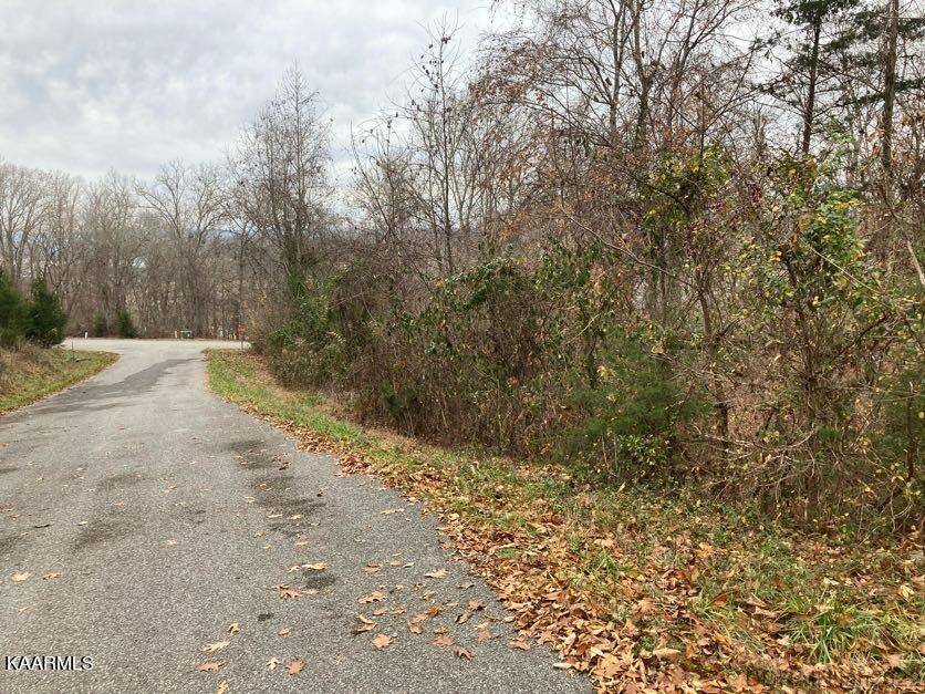 Sharps Chapel, TN 37866,Lot 346 Larayne Hollow Rd