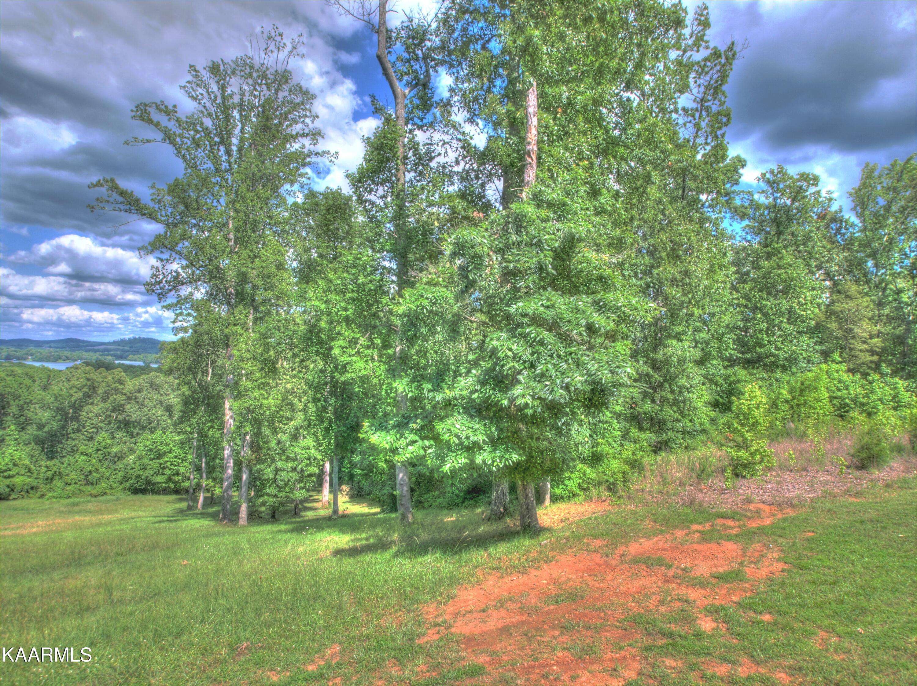 Rockwood, TN 37854,Lot 537 Eagle Ridge DR