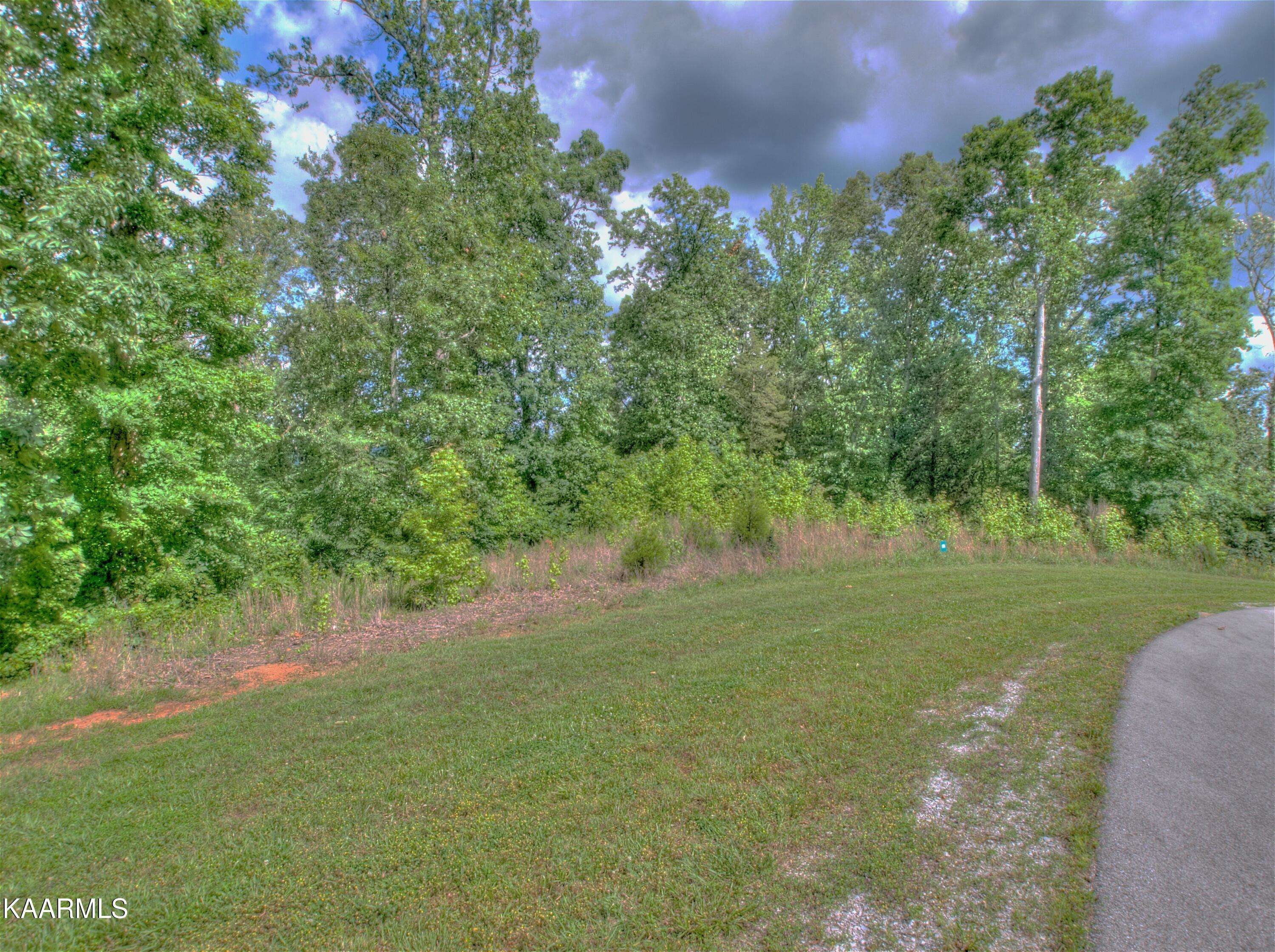 Rockwood, TN 37854,Lot 537 Eagle Ridge DR