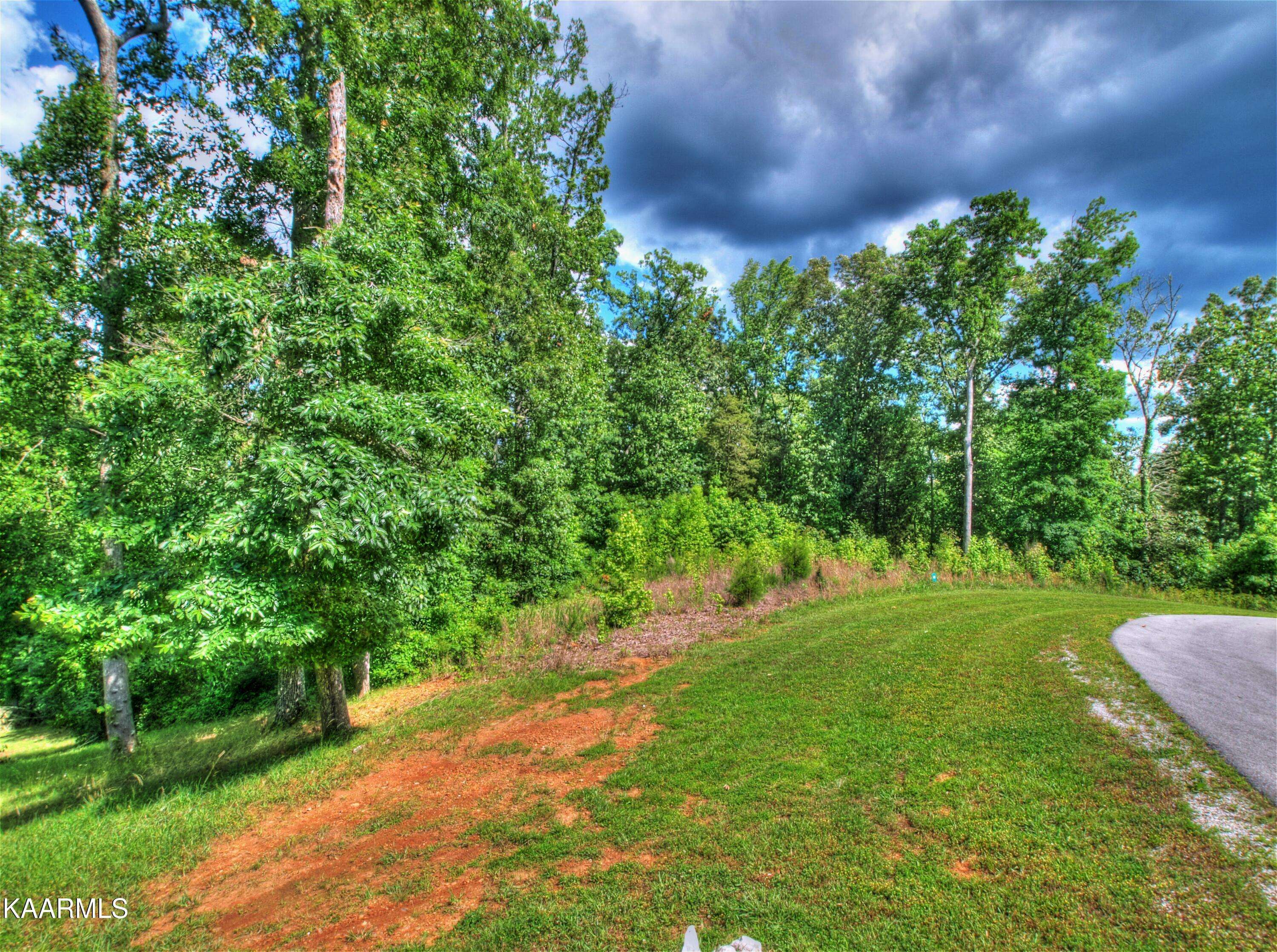 Rockwood, TN 37854,Lot 537 Eagle Ridge DR