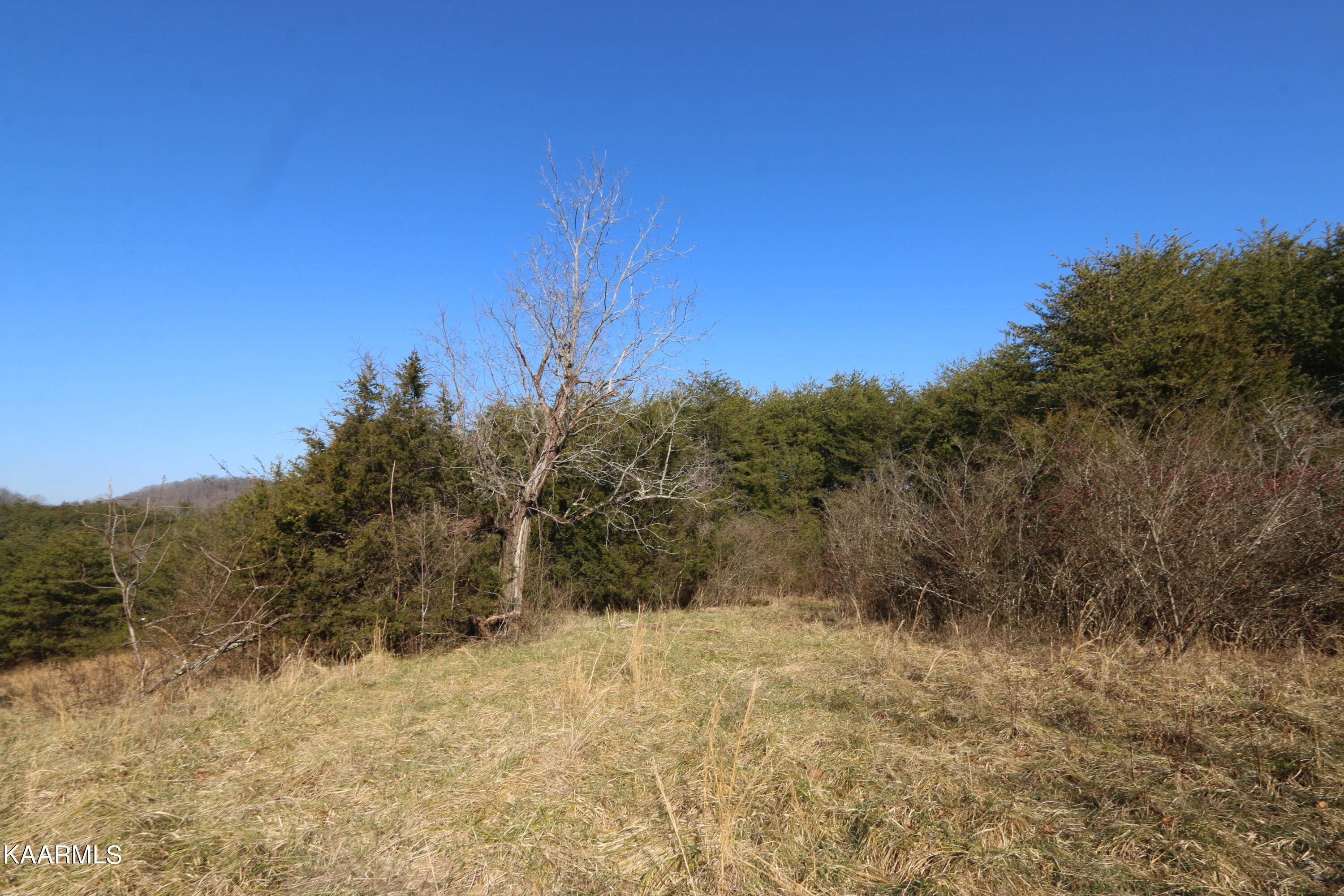 Tellico Plains, TN 37385,408 Shadden Rd