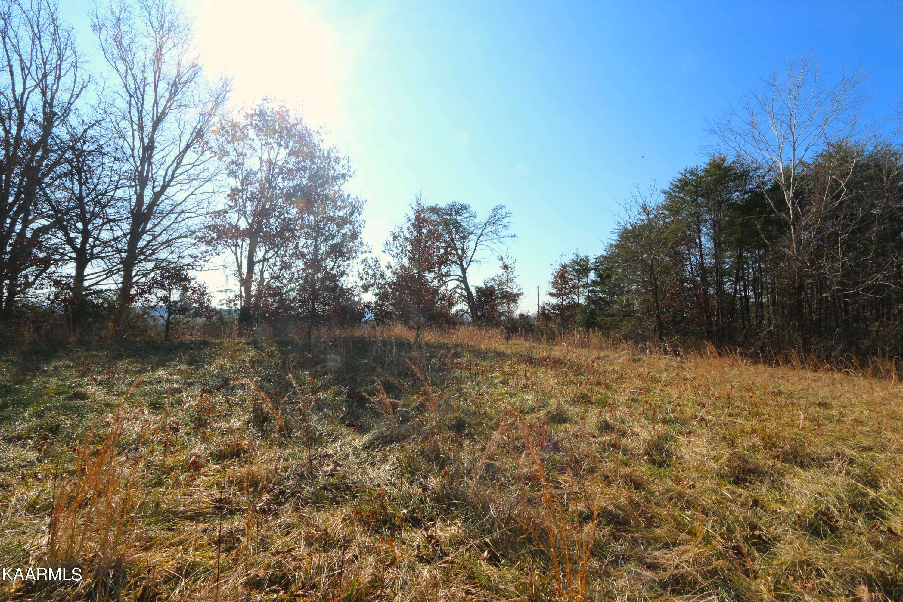 Tellico Plains, TN 37385,408 Shadden Rd