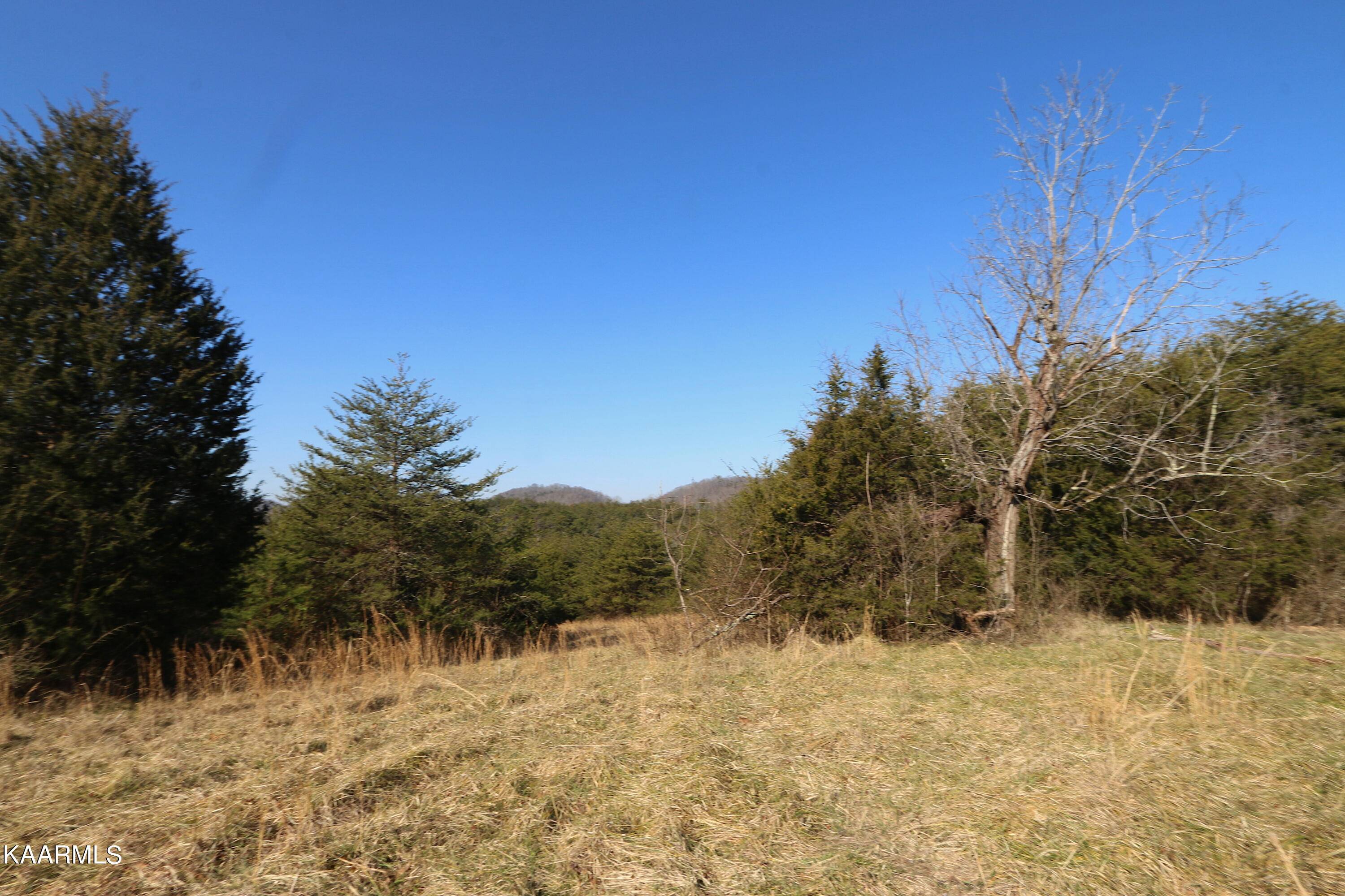 Tellico Plains, TN 37385,408 Shadden Rd