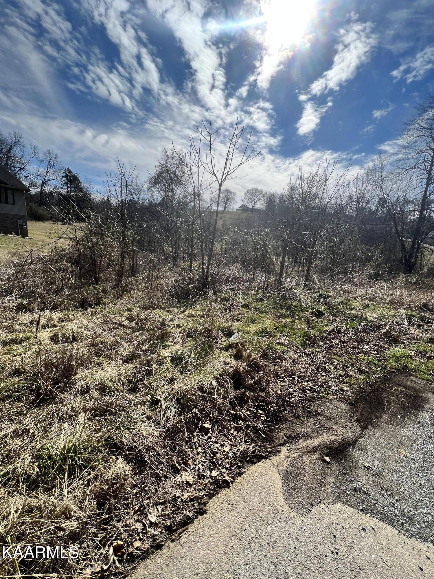 Kodak, TN 37764,Haley Woods Lot 14