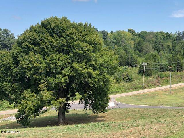 Dandridge, TN 37725,LOT 1 FAIRWAY DR