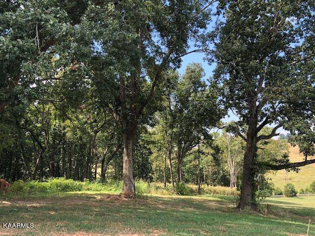 Dandridge, TN 37725,LOT 5 FAIRWAY DR