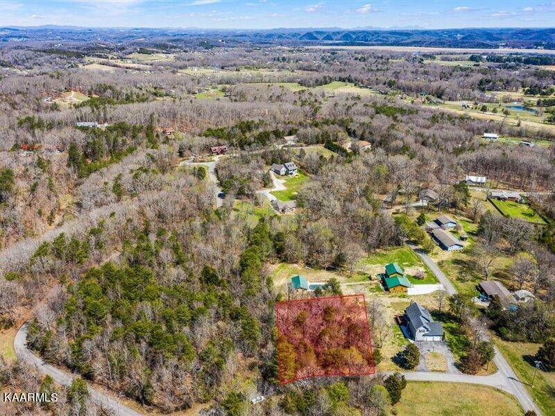 Baneberry, TN 37890,0 Cove LN