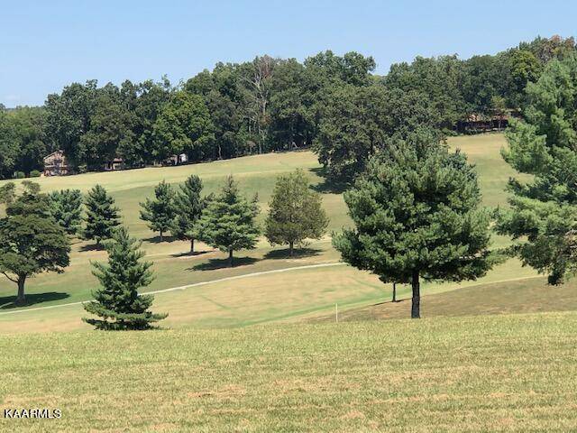 Dandridge, TN 37725,LOT 29 FAIRWAY DR