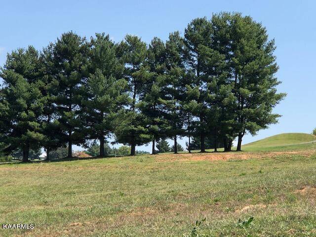 Dandridge, TN 37725,LOT 39 FAIRWAY DR