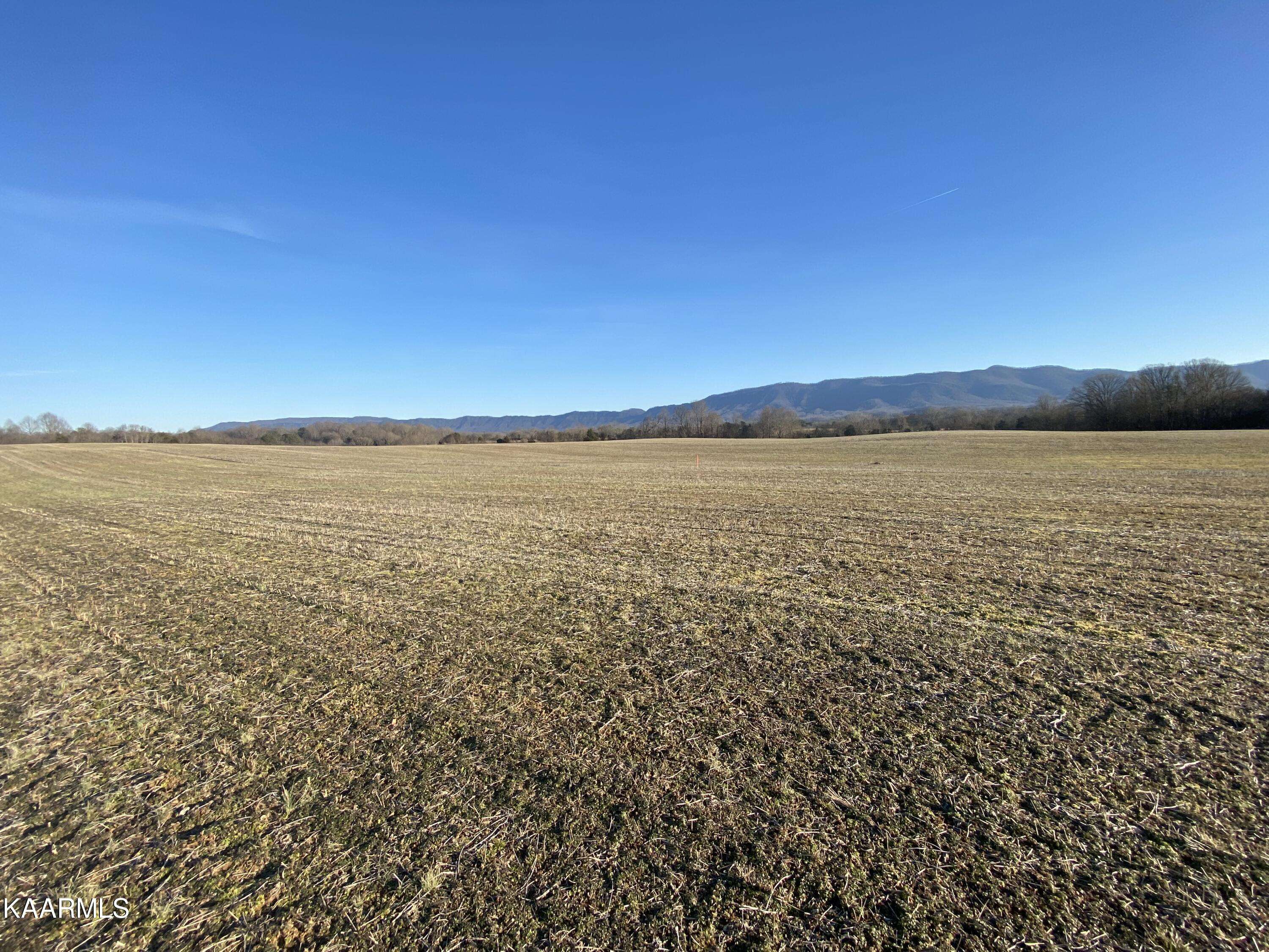 Walland, TN 37886,Lot 4 Jeffries Hollow Rd