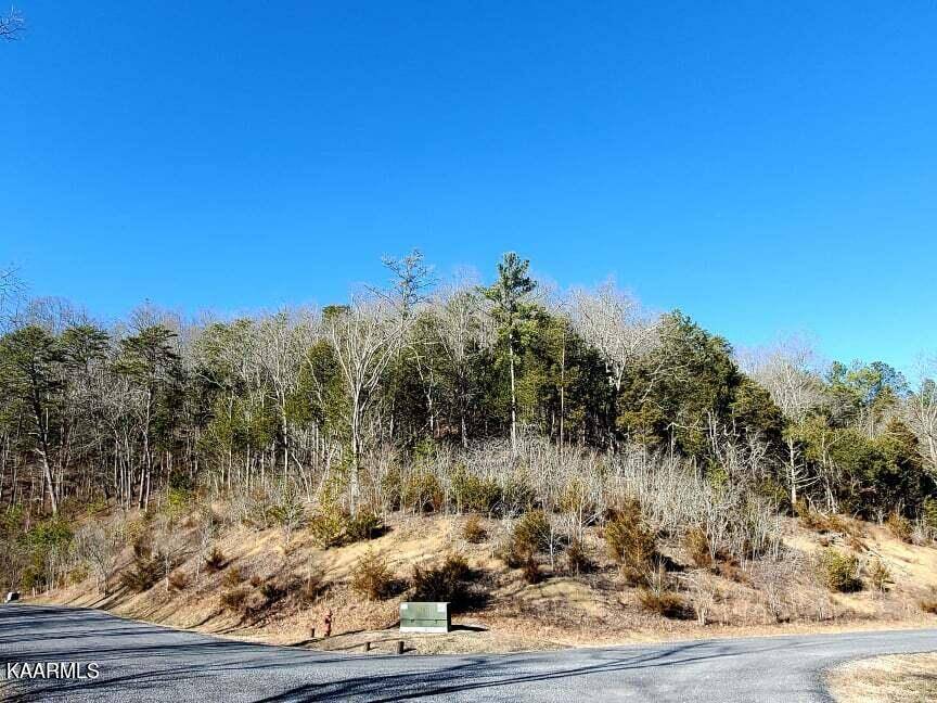 Dandridge, TN 37725,Lot 78 Stone Bridge Dr.