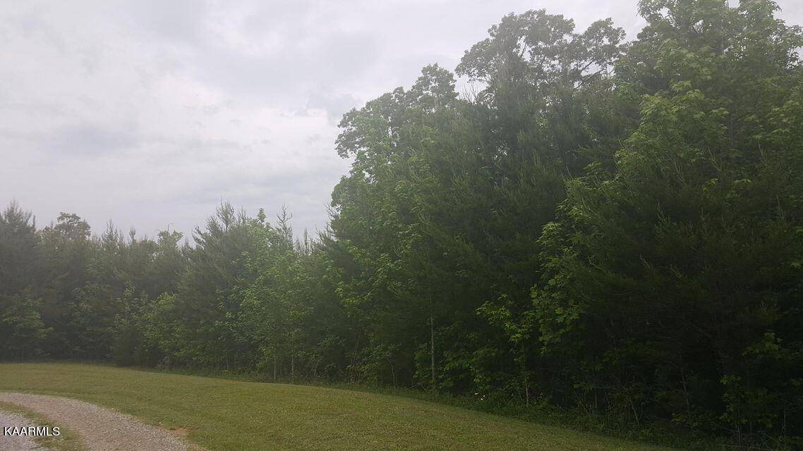 Tellico Plains, TN 37385,Williams Rd