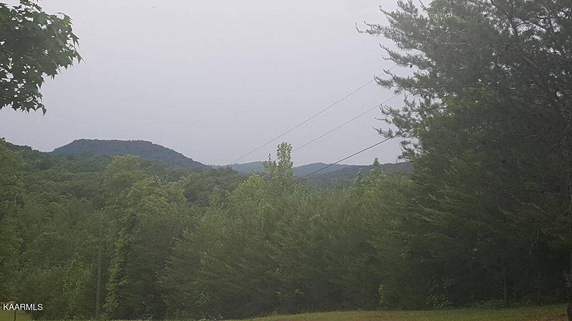 Tellico Plains, TN 37385,Williams Rd