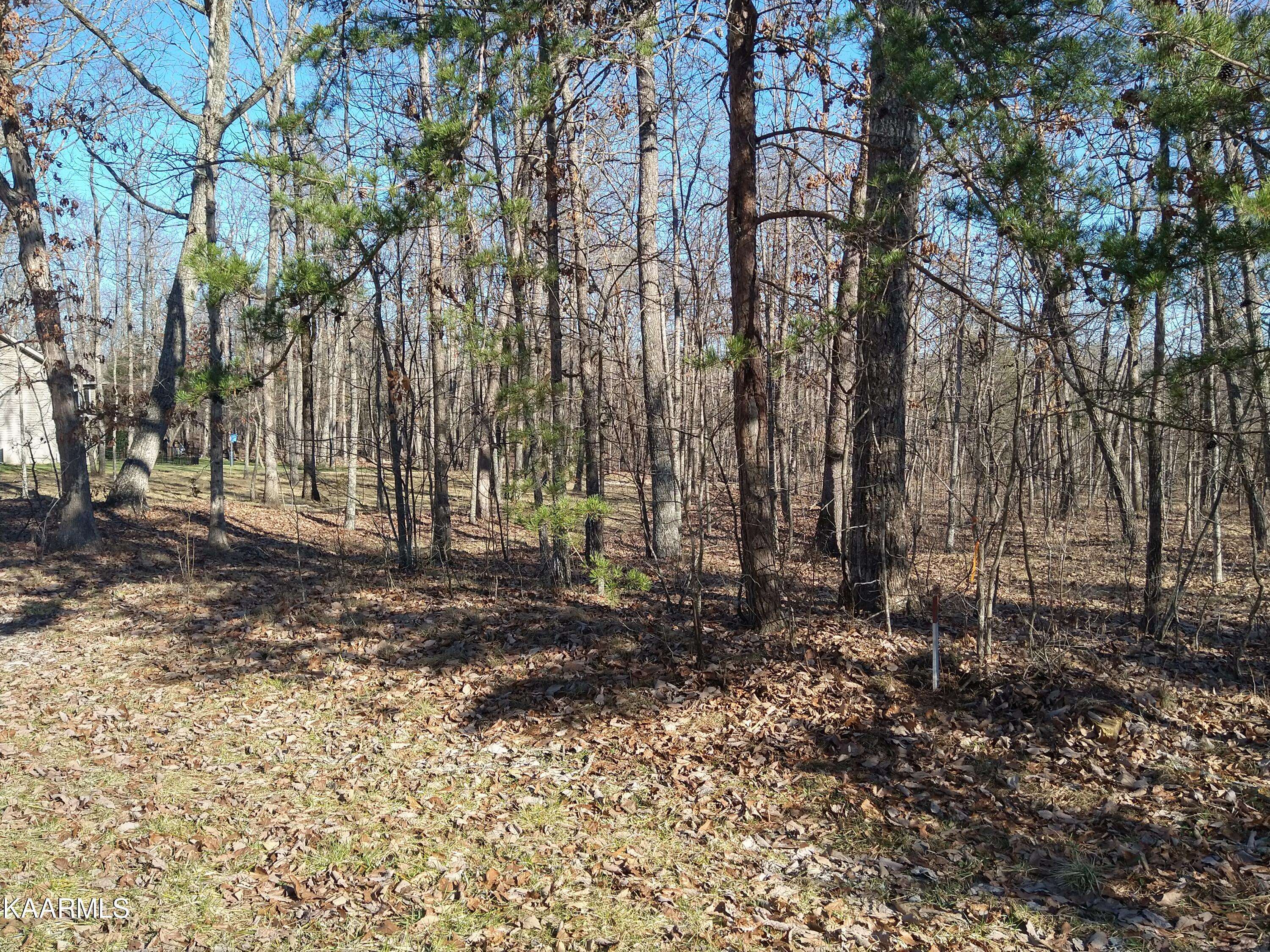 Fairfield Glade, TN 38558,116 Wycliff LN