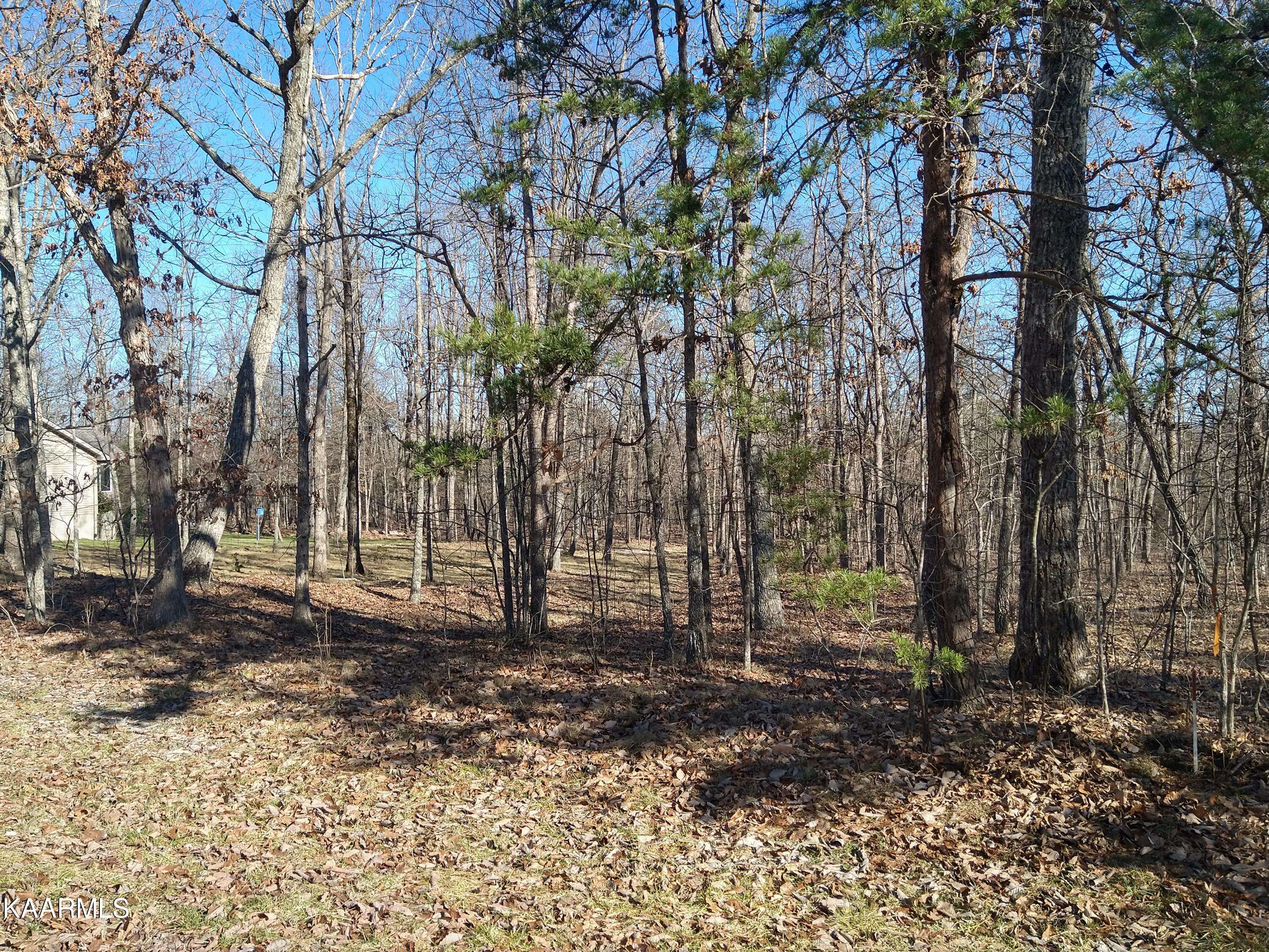 Fairfield Glade, TN 38558,116 Wycliff LN