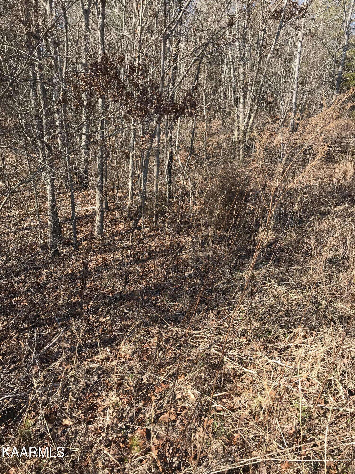 Tellico Plains, TN 37385,Lot 3 Curtis Rd