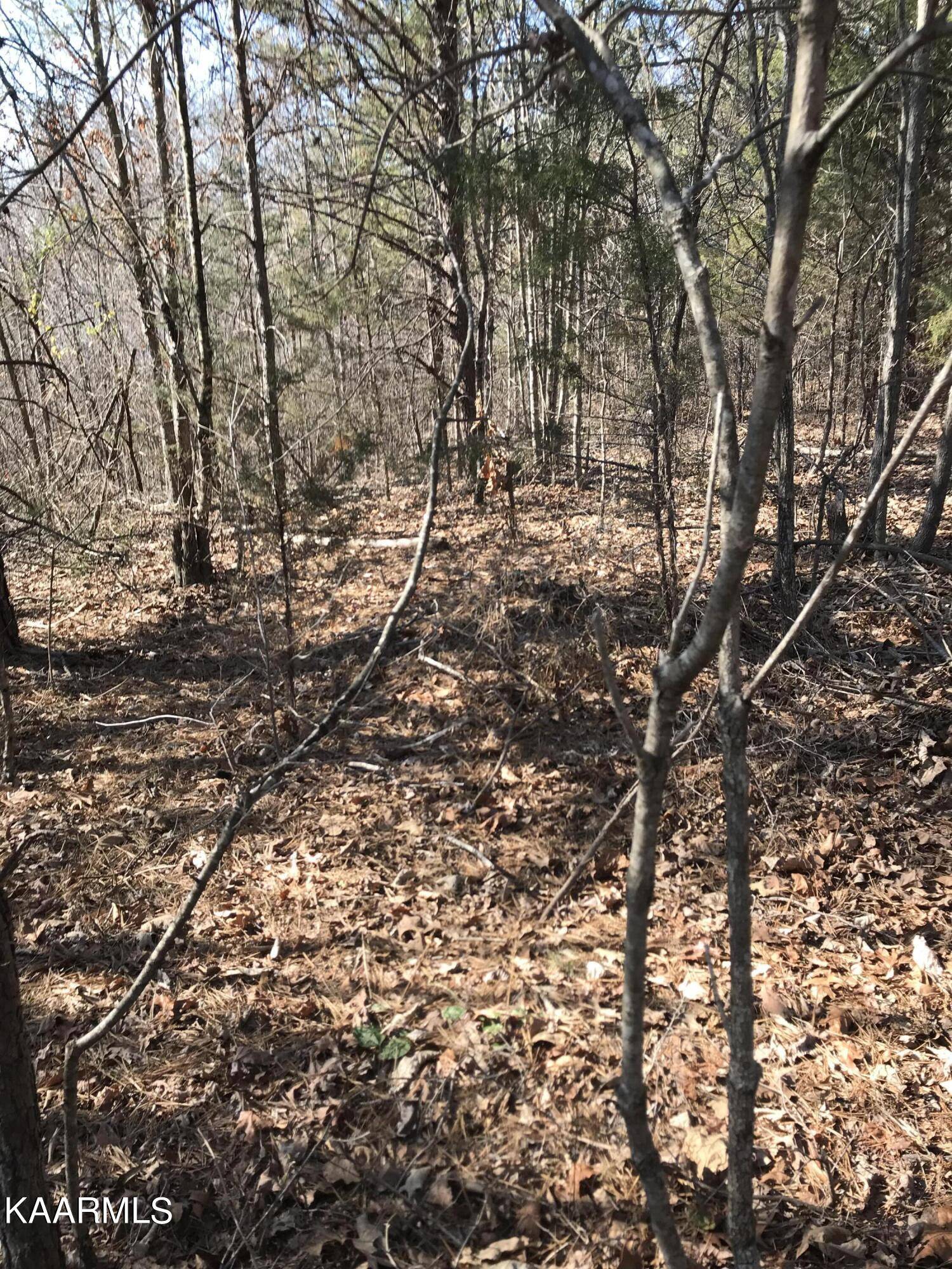 Tellico Plains, TN 37385,Lot 3 Curtis Rd