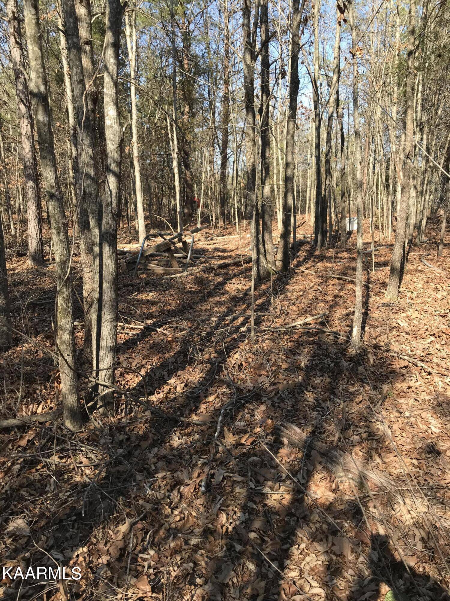 Tellico Plains, TN 37385,Lot 3 Curtis Rd