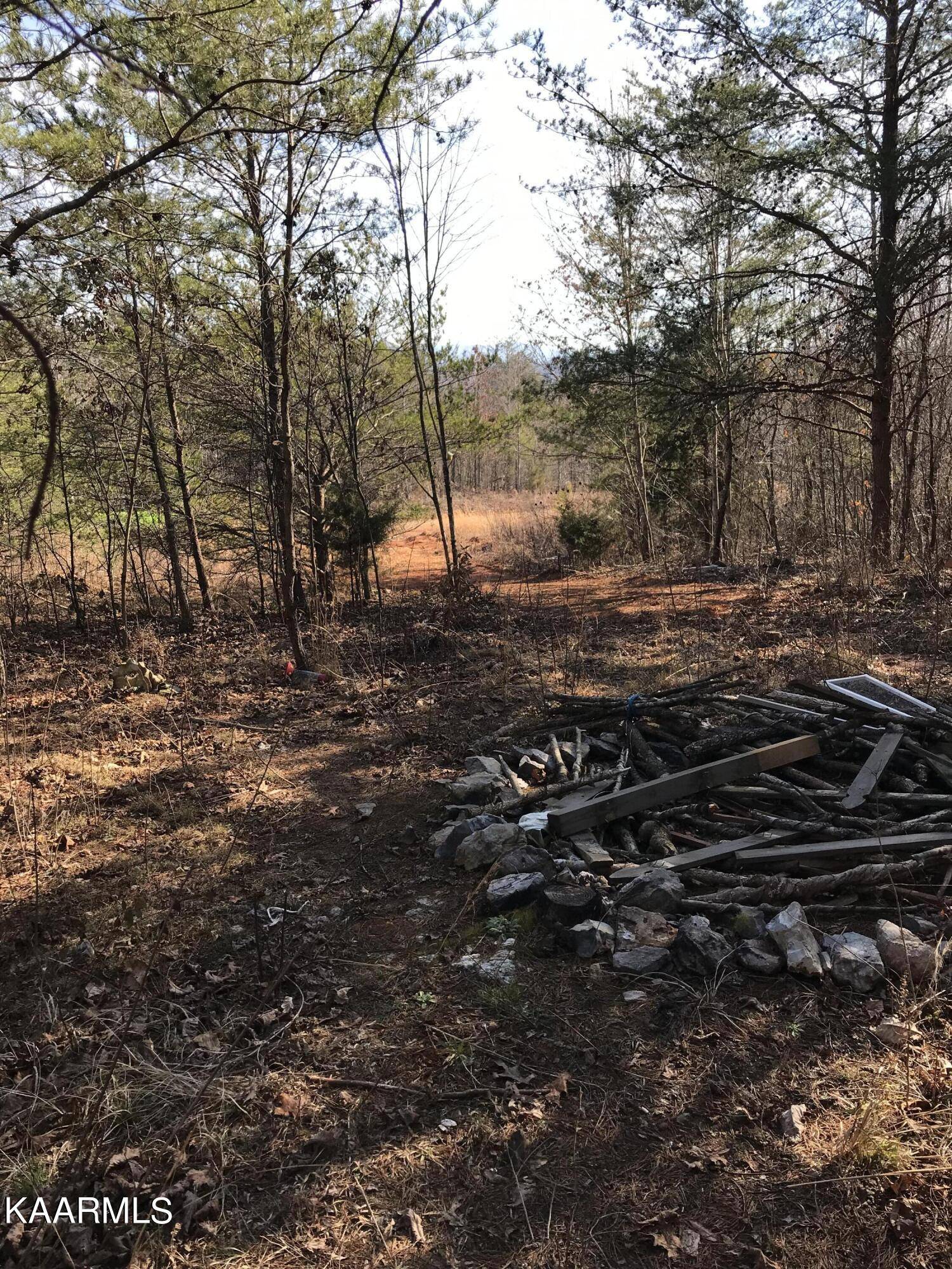 Tellico Plains, TN 37385,Lot 3 Curtis Rd