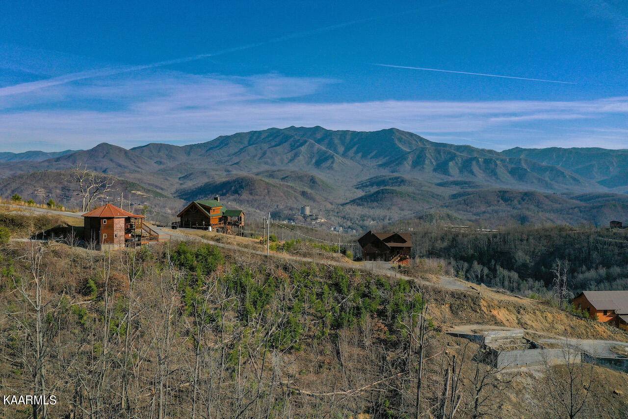 Gatlinburg, TN 37738,919 Wiley Oakley DR