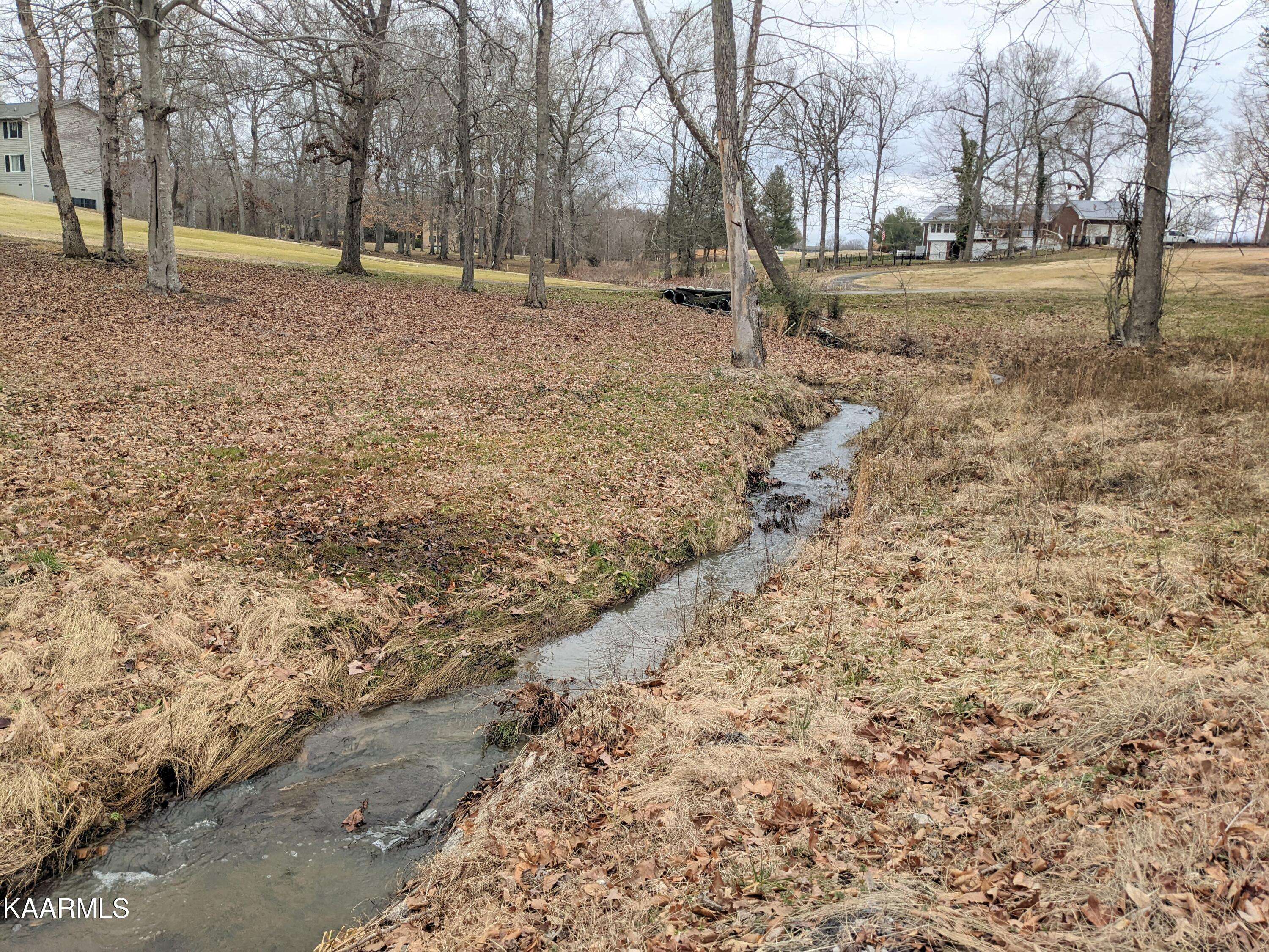 Baneberry, TN 37890,Lot 2093 Deer Creek Trail