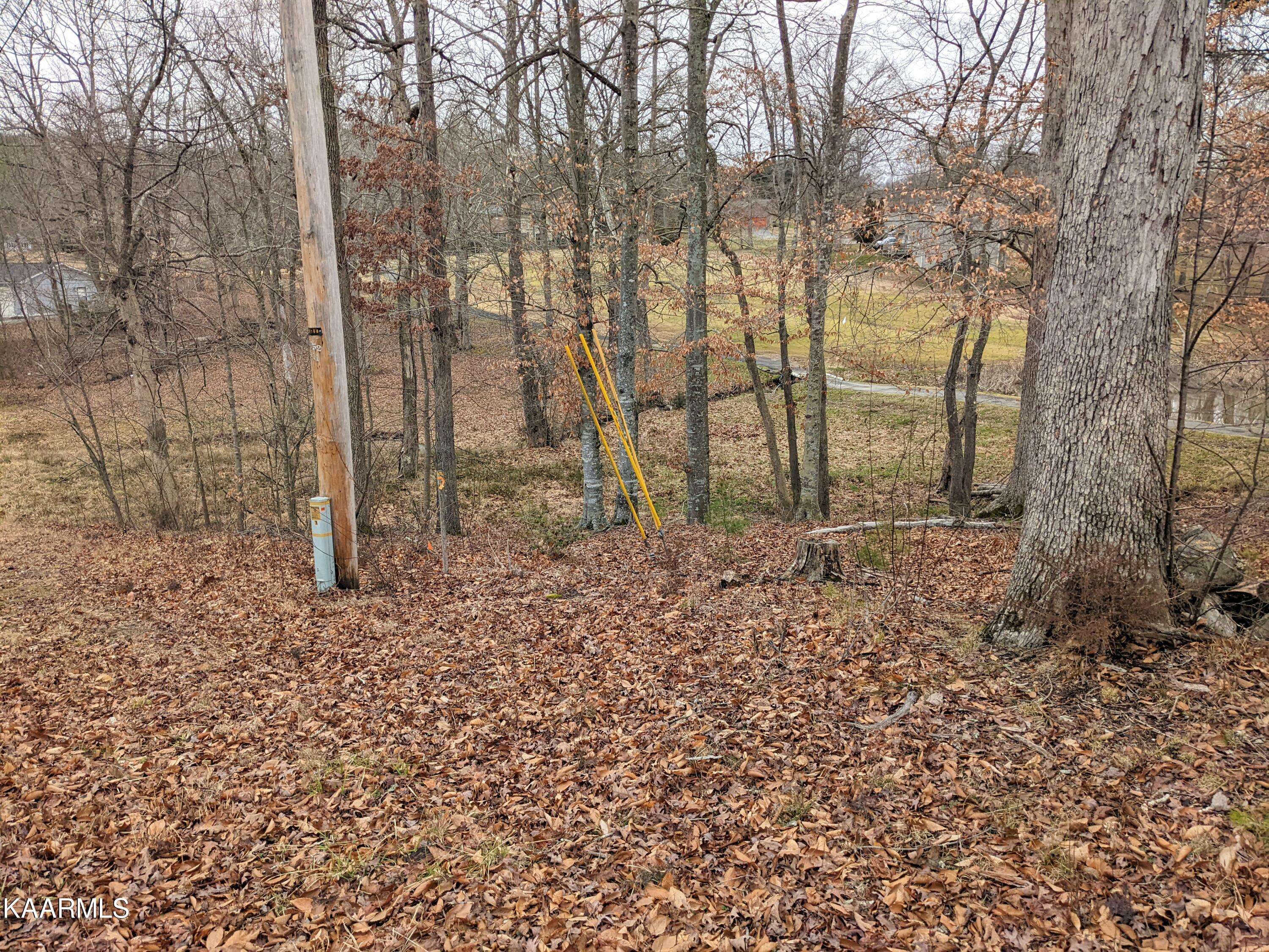 Baneberry, TN 37890,Lot 2093 Deer Creek Trail