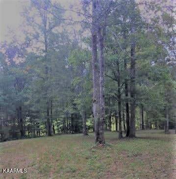 Tellico Plains, TN 37385,00 Reagan Valley