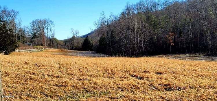 Tellico Plains, TN 37385,00 Reagan Valley