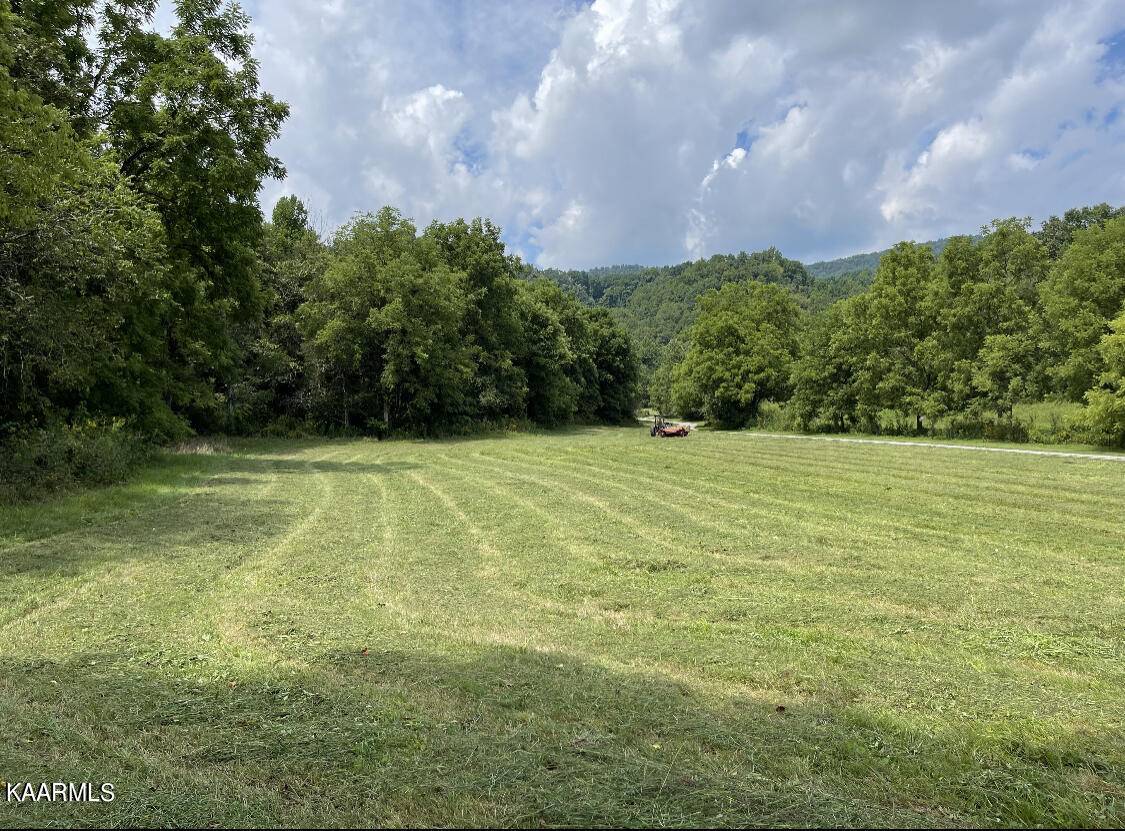 Rose Hill, VA 24281,21583 Wilderness Rd