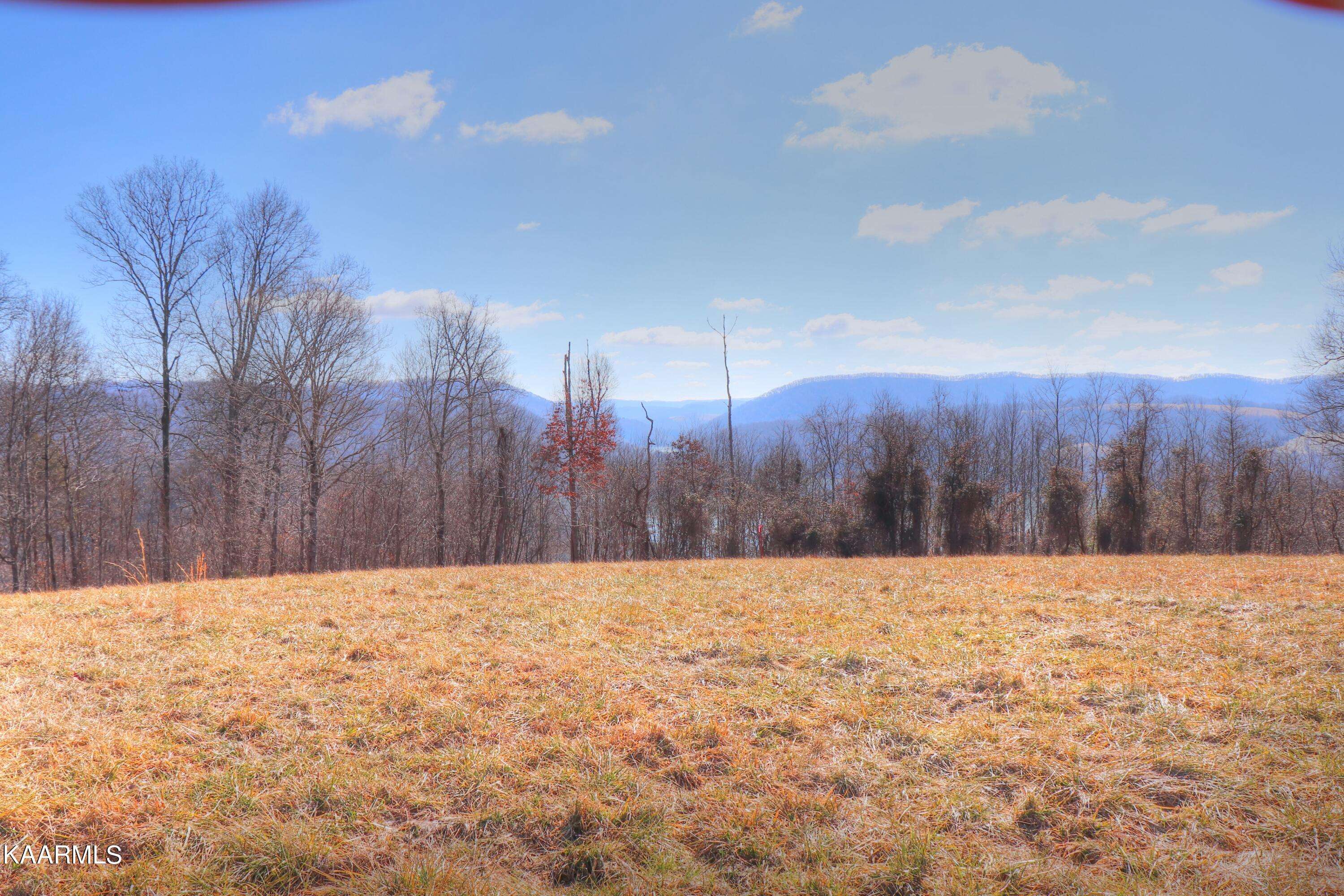 New Tazewell, TN 37825,Lot 460 Smokey Quartz Blvd