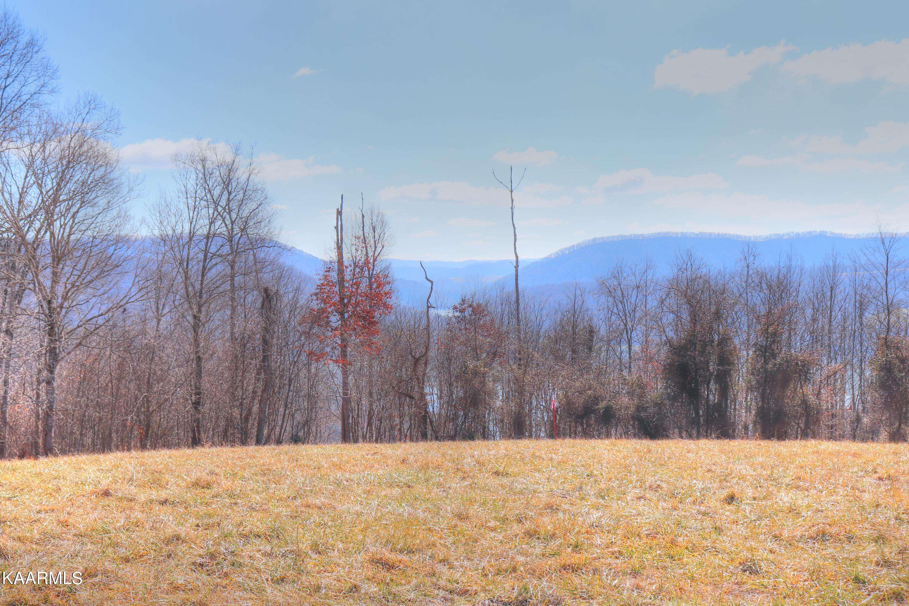 New Tazewell, TN 37825,Lot 460 Smokey Quartz Blvd