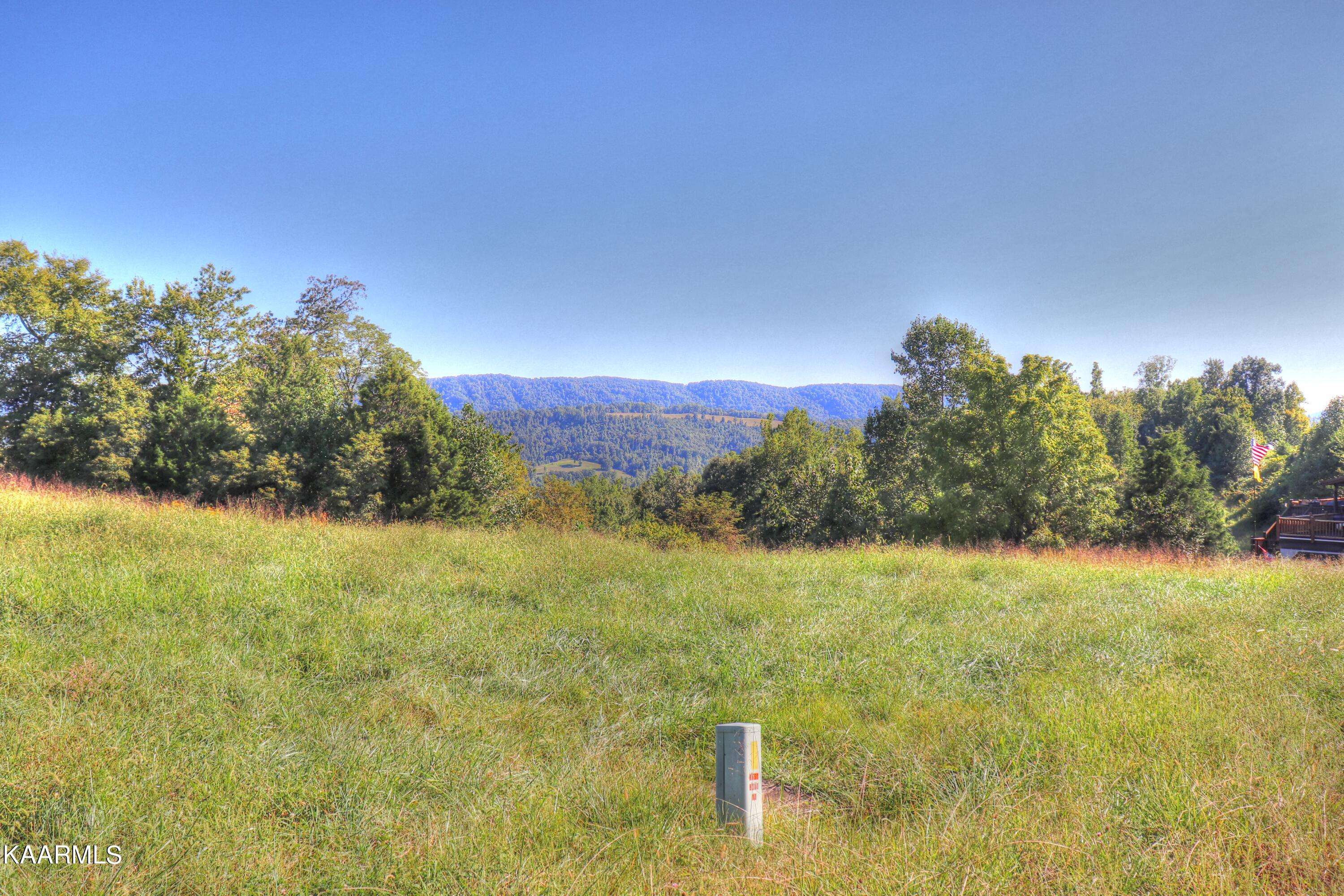 New Tazewell, TN 37825,Lot 460 Smokey Quartz Blvd